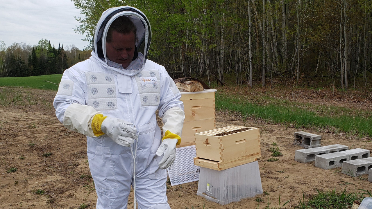 Why are beekeepers suits are white