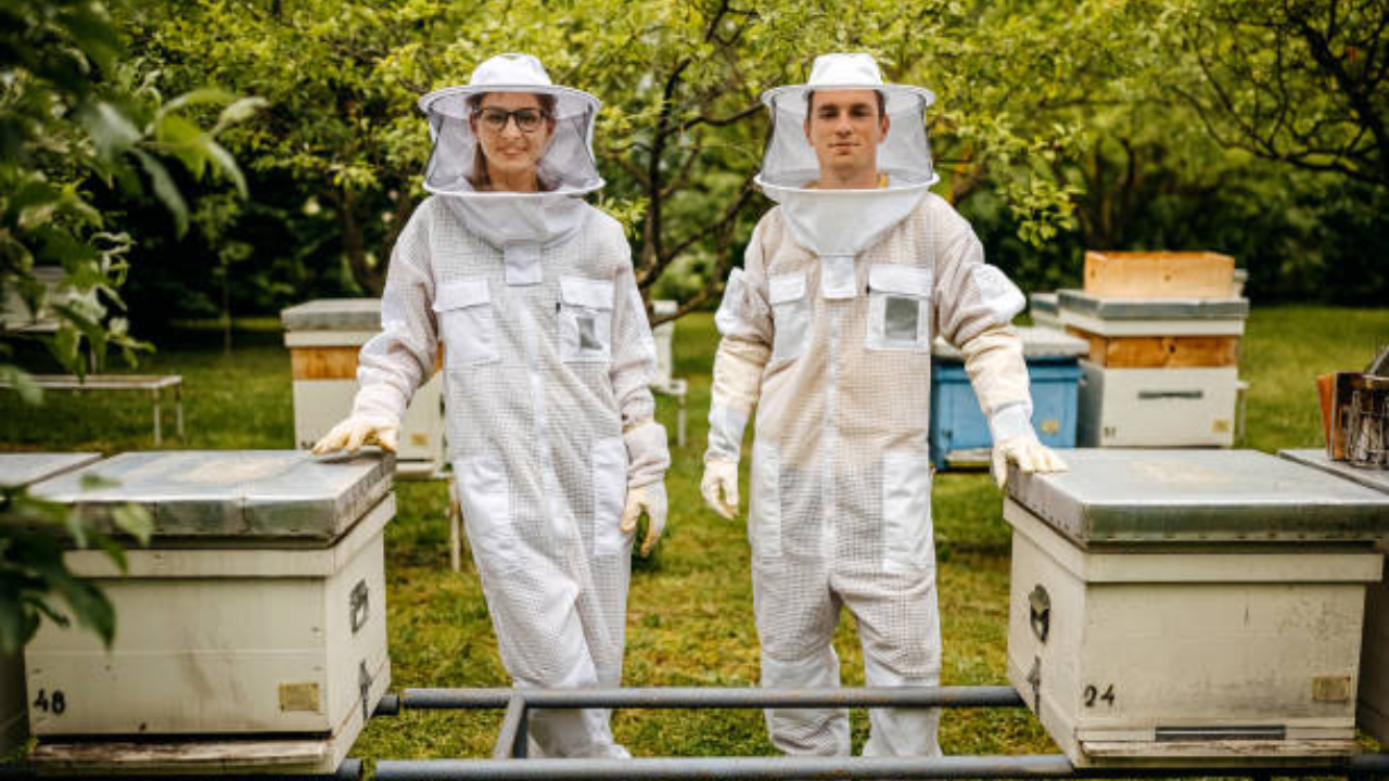 Do You Need a Beekeeping Suit?