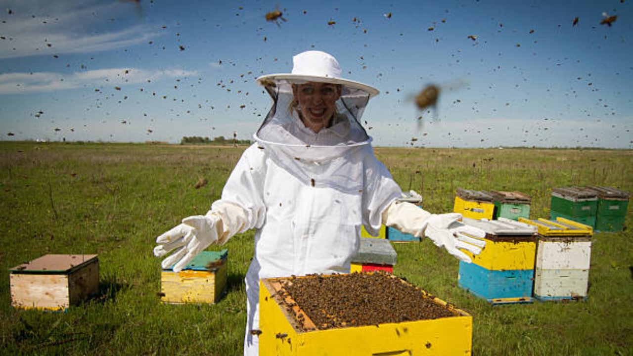 Do You Need a Beekeeping Suit? 