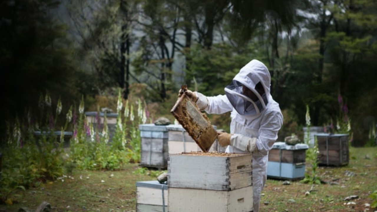 How does a beekeeper suit work