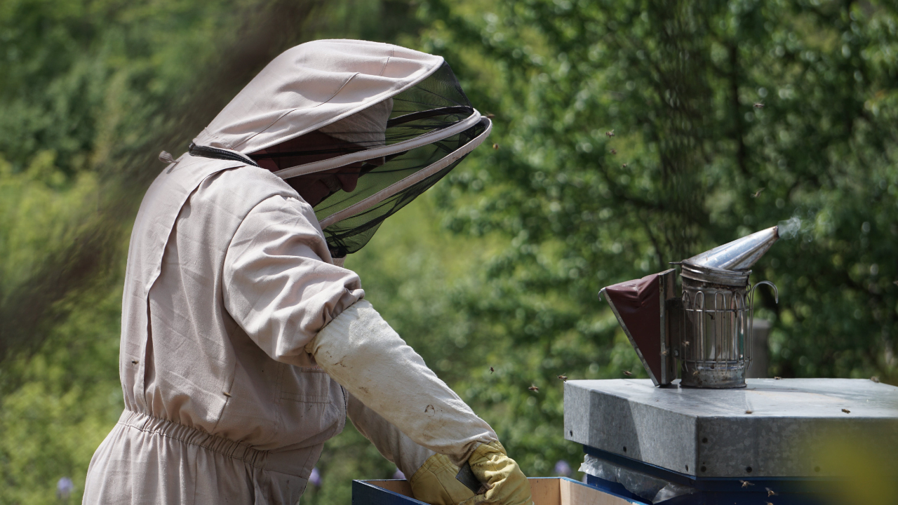 How to Make a Beekeeper Suit
