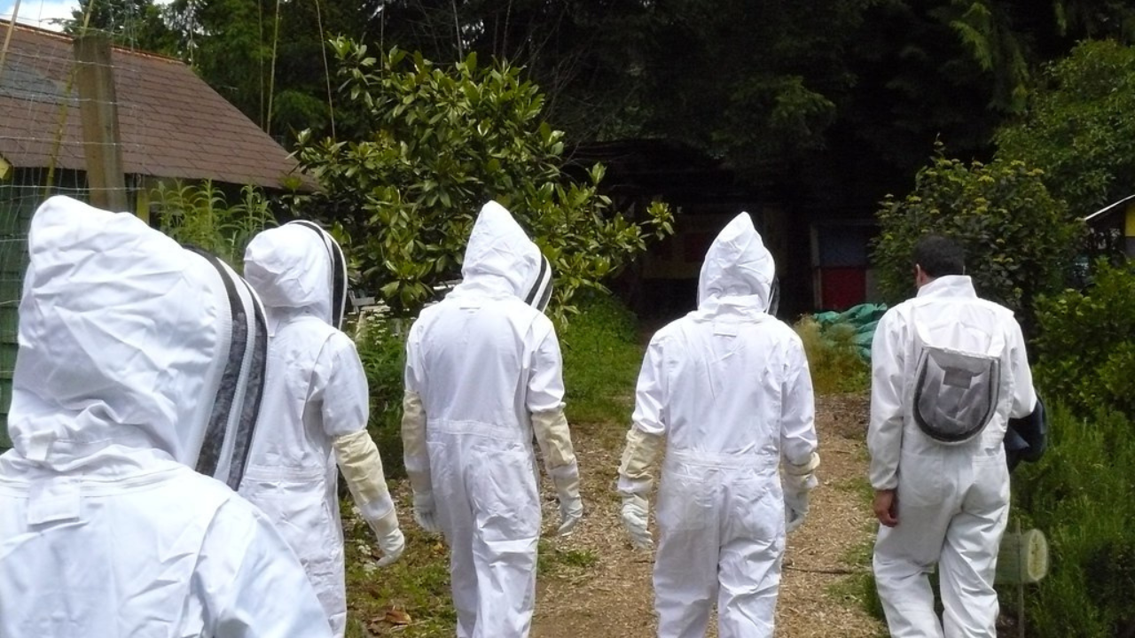How Much Does a Quality Beekeeper Suit Cost?