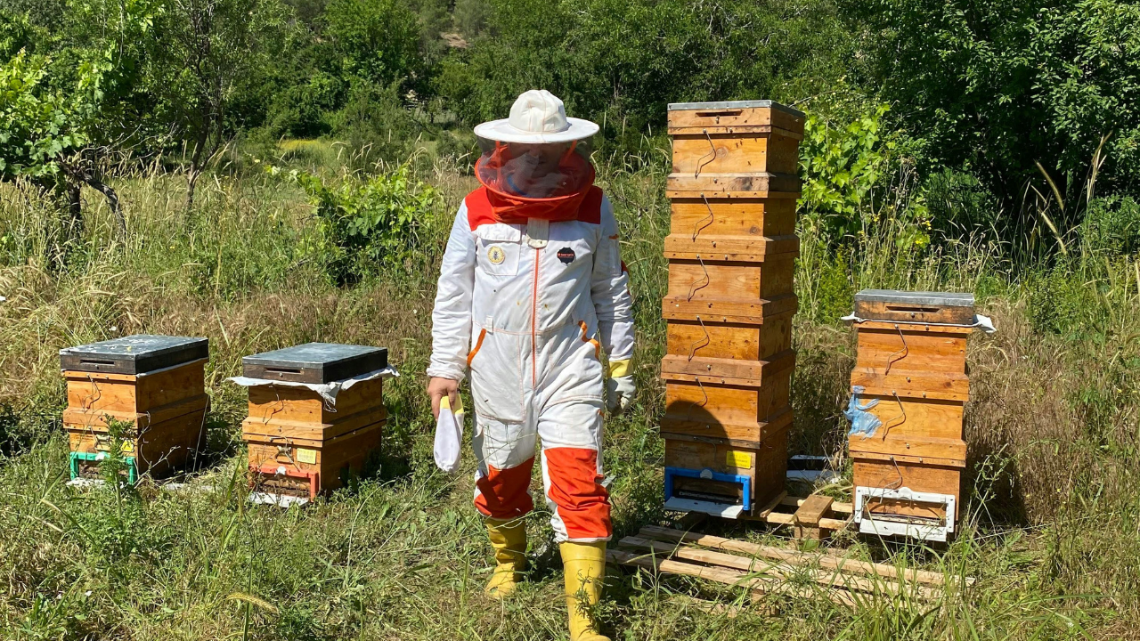 A Step-by-Step Guide to Washing Your Beekeeping Suit