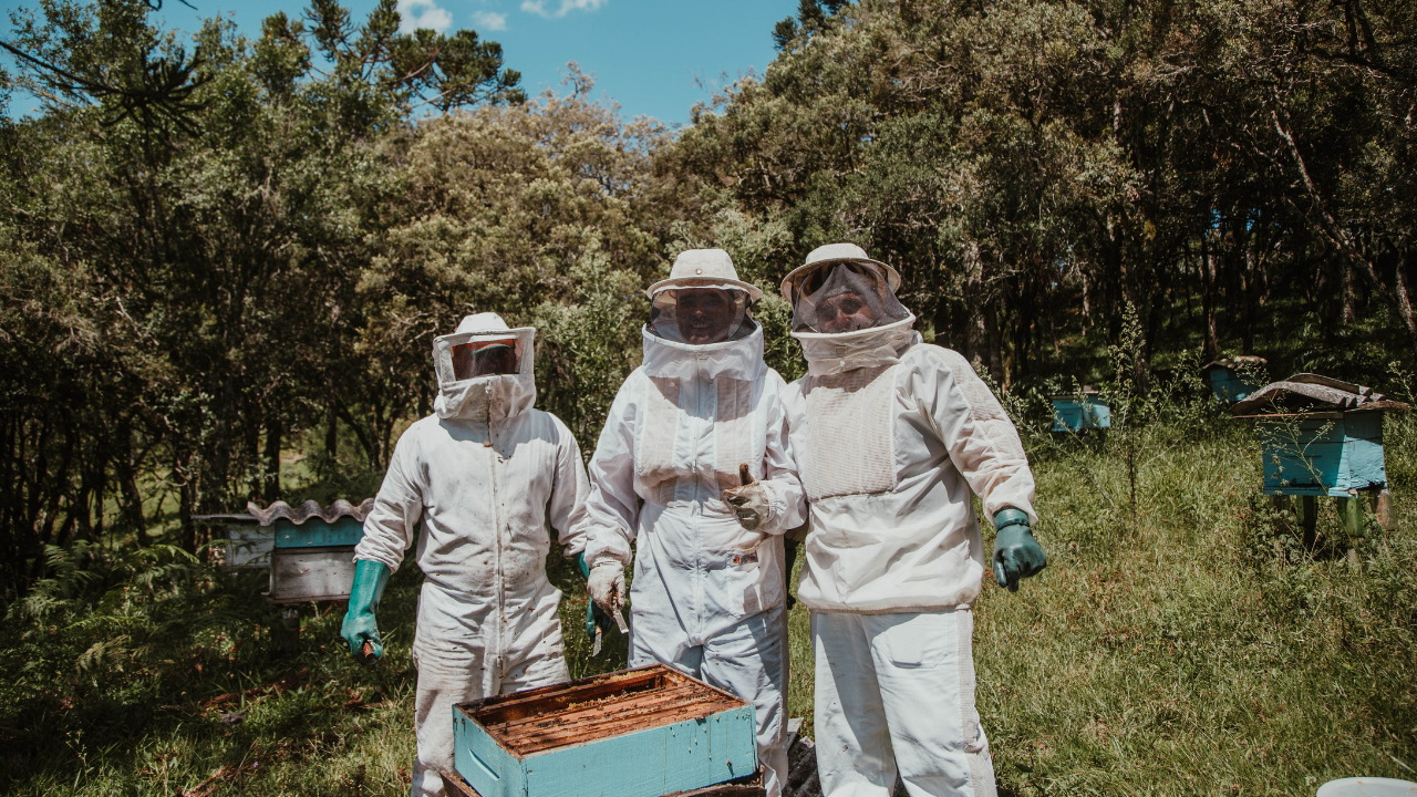 A Comprehensive Analysis of the Cost of Beekeeper Suits