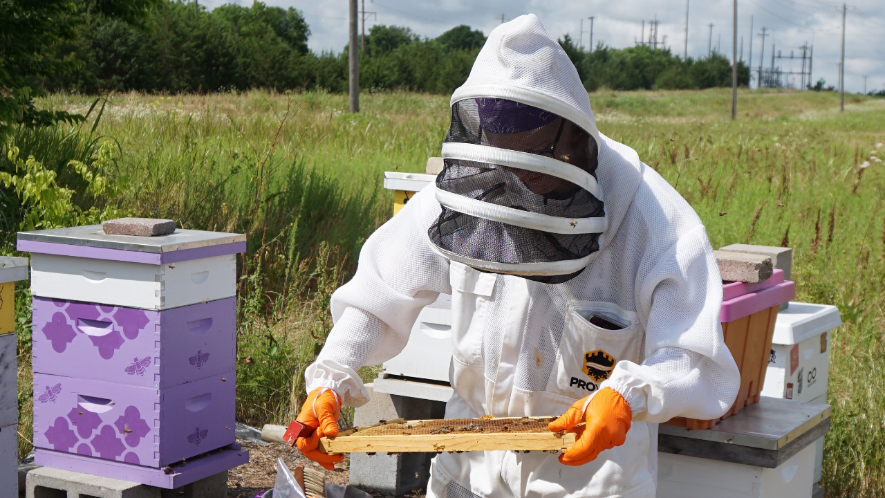 A Comprehensive Analysis of the Cost of Beekeeper Suits